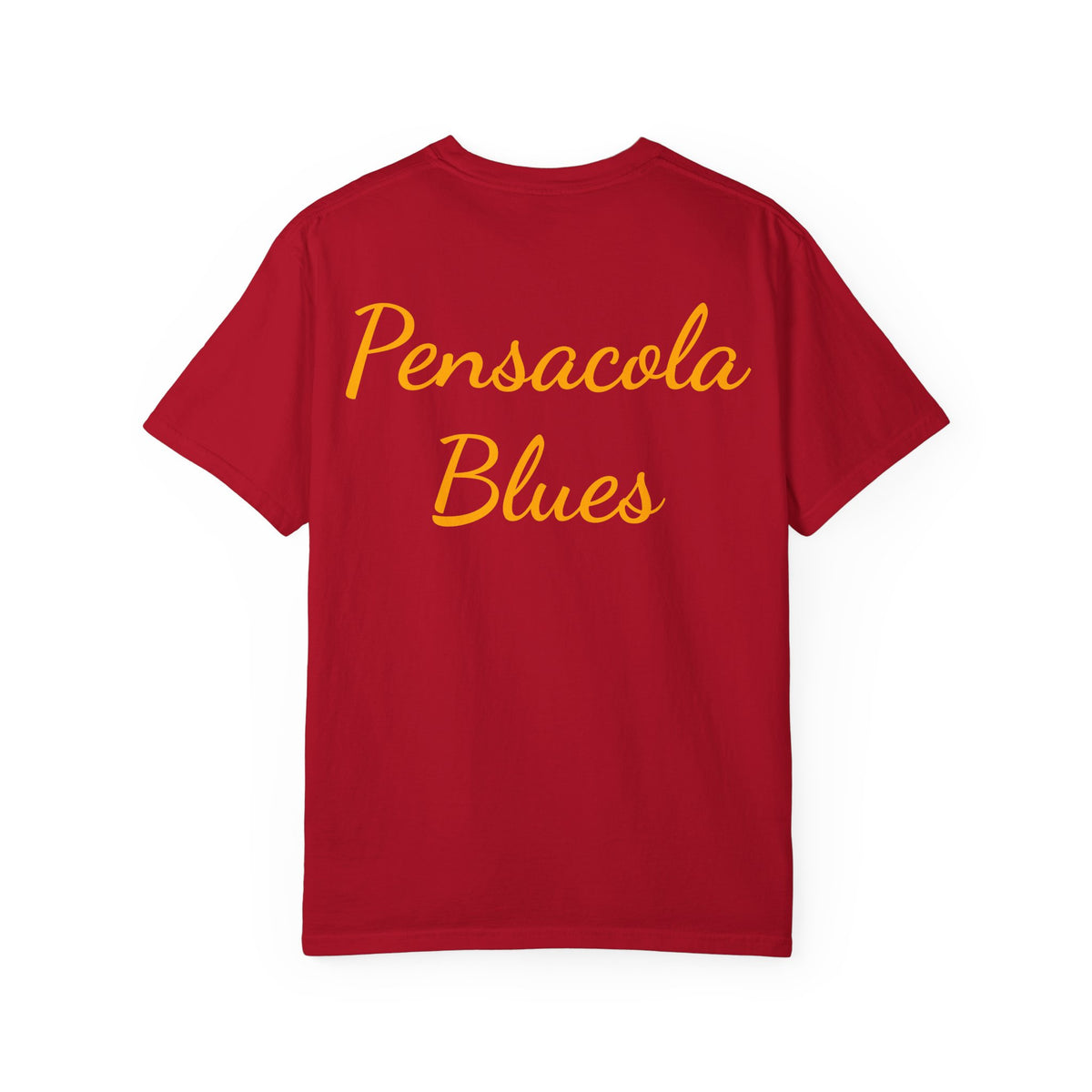 Pensacola Blues Gold Star Pocket featuring Missing Man Formation - PBP06