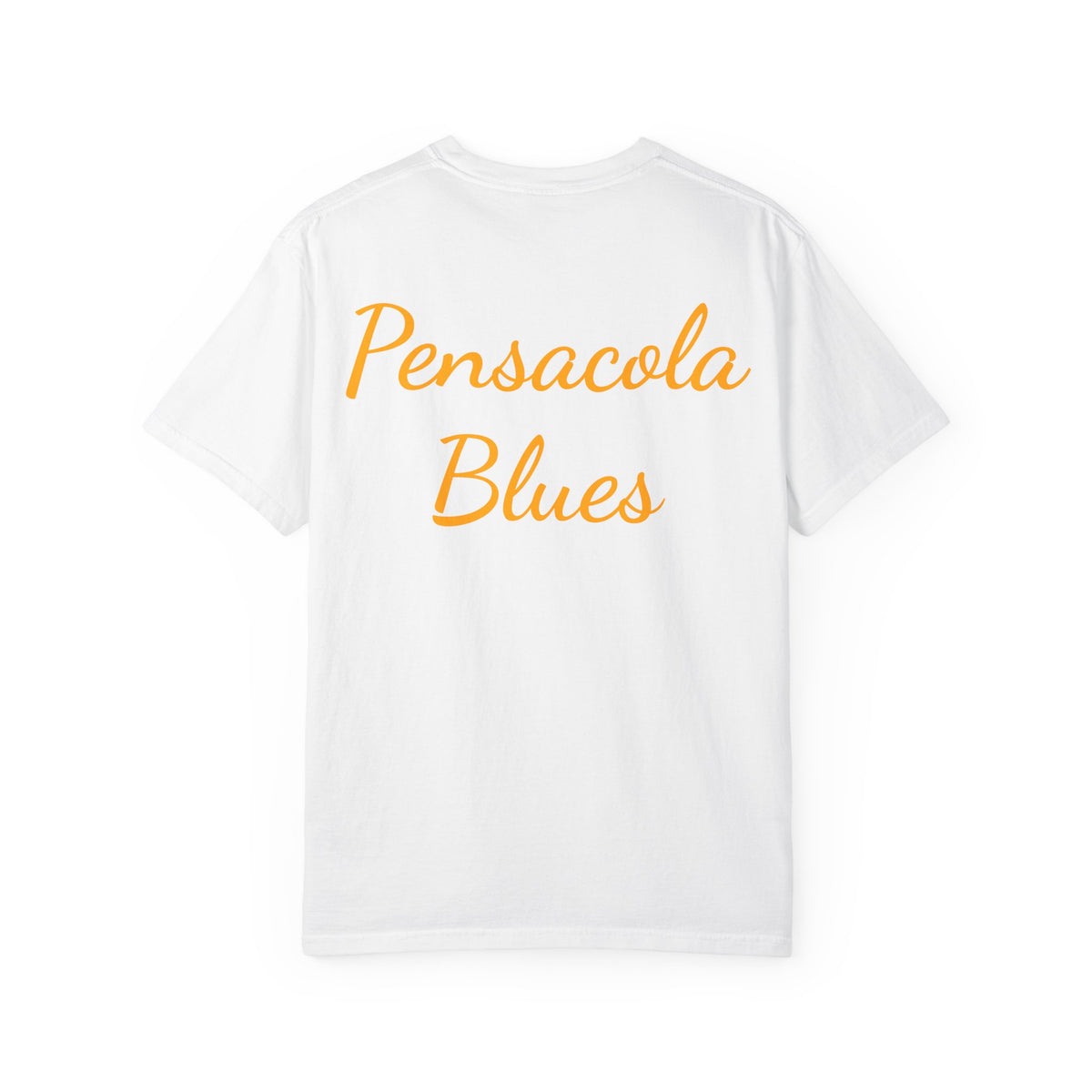Pensacola Blues Gold Star Pocket featuring Missing Man Formation - PBP06