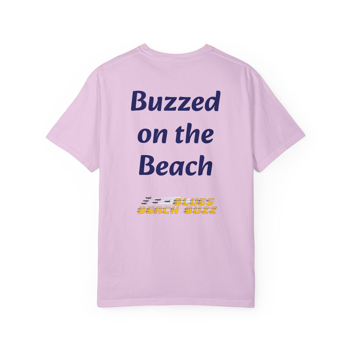Pensacola Blues Beach Buzz featuring Blue Angels Approaching the Pensacola Beach Pier Beach Buzz - PBB04