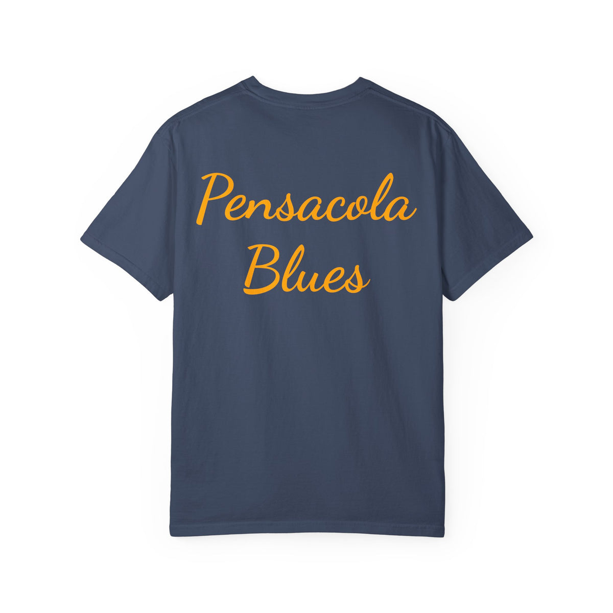 Pensacola Blues featuring Blue Angels Beach Buzz crossing the Pensacola Beach Pier  - PBP16