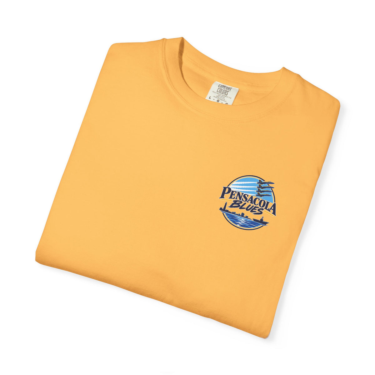 PB02 - Pensacola Blues Logo with City Scape and Aircraft Carrier